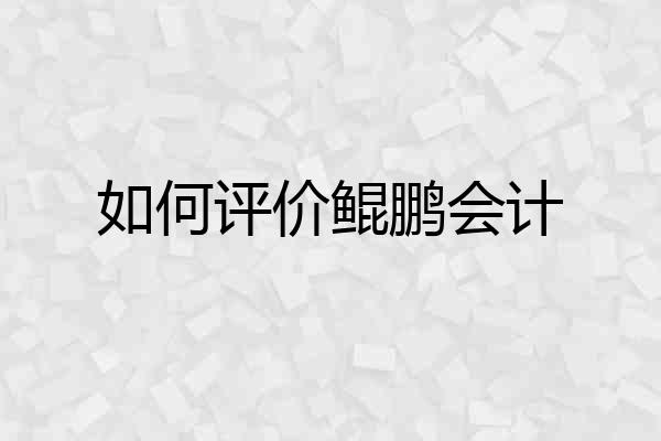 如何评价鲲鹏会计