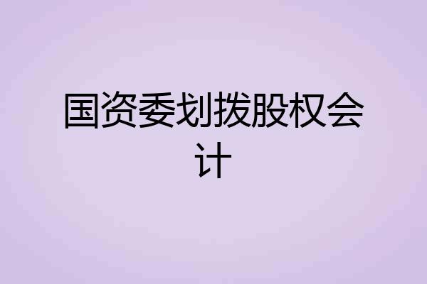 国资委划拨股权会计