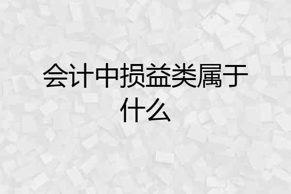 会计中损益类属于什么