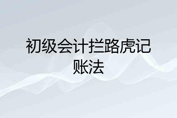 初级会计拦路虎记账法