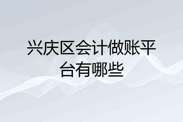 兴庆区会计做账平台有哪些