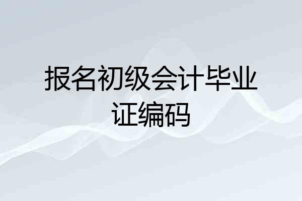 报名初级会计毕业证编码