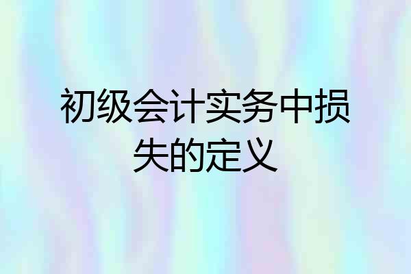 初级会计实务中损失的定义