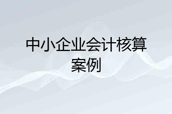 中小企业会计核算案例