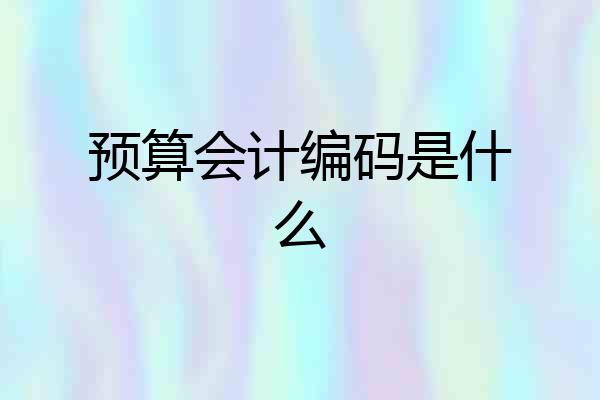 预算会计编码是什么