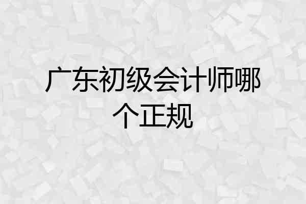 广东初级会计师哪个正规