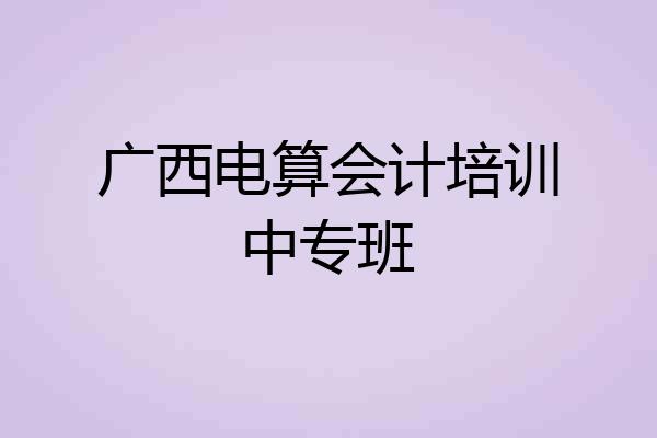 广西电算会计培训中专班