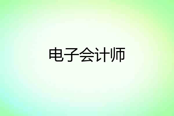 电子会计师