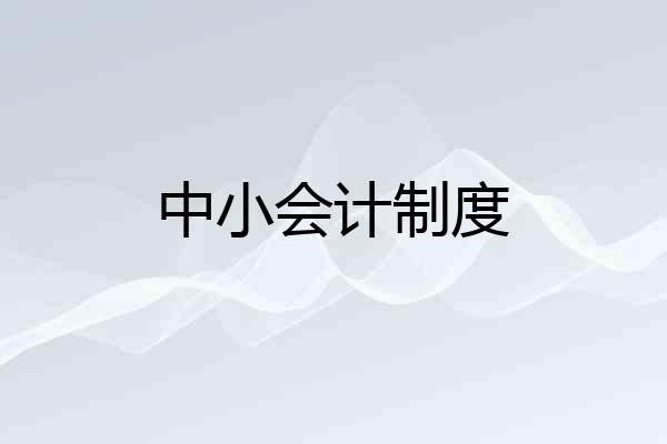 中小会计制度