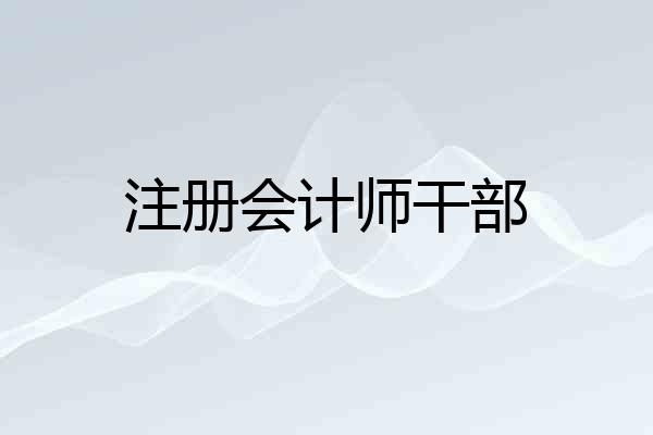 注册会计师干部