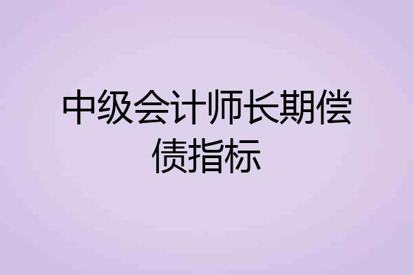 中级会计师长期偿债指标