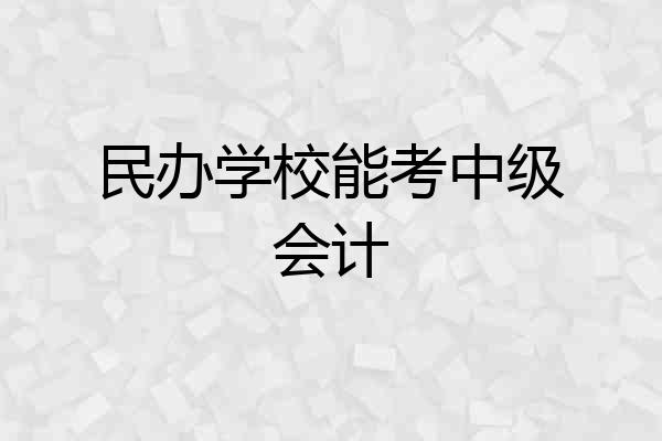 民办学校能考中级会计