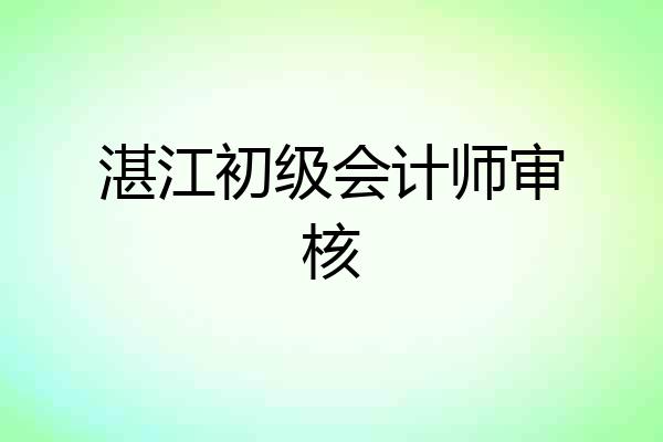 湛江初级会计师审核