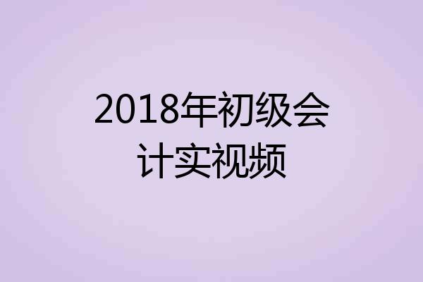 2018年初级会计实视频