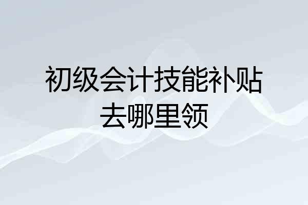 初级会计技能补贴去哪里领