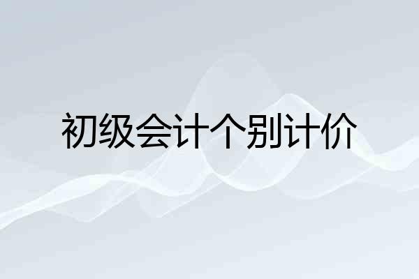 初级会计个别计价