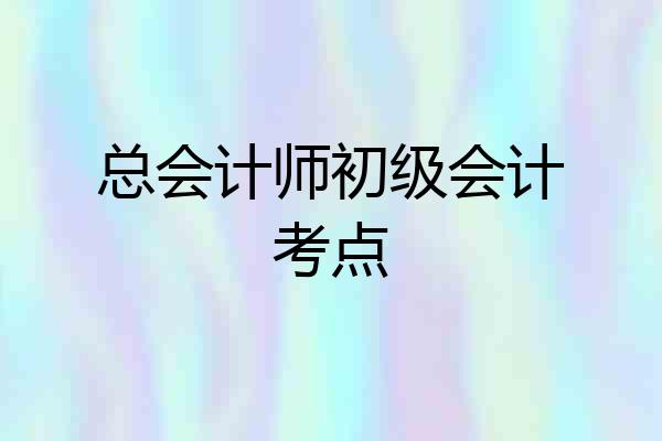总会计师初级会计考点