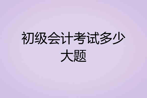 初级会计考试多少大题
