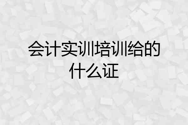 会计实训培训给的什么证