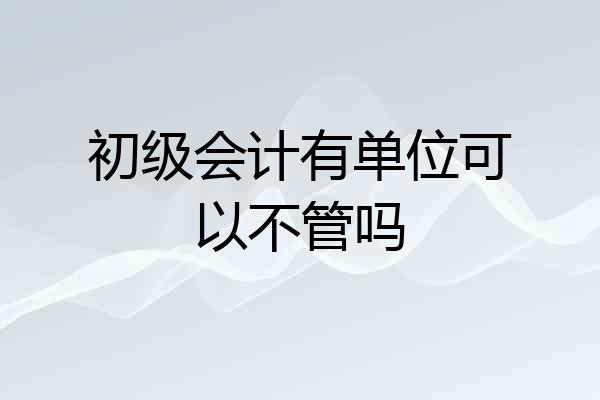 初级会计有单位可以不管吗