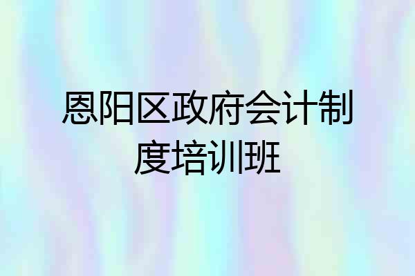 恩阳区政府会计制度培训班