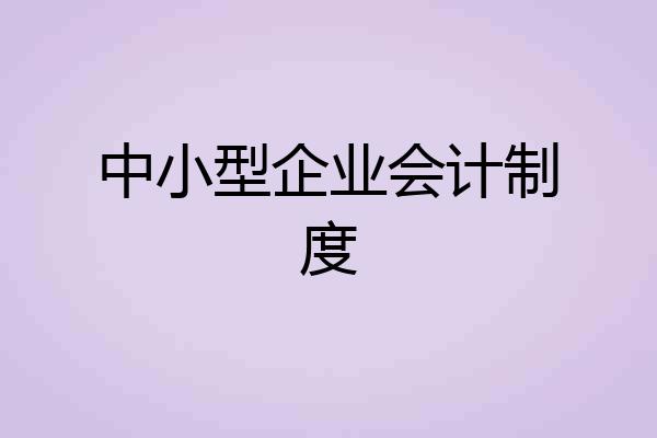 中小型企业会计制度