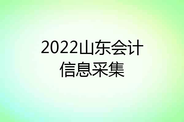 2022山东会计信息采集