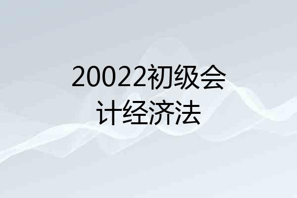 20022初级会计经济法