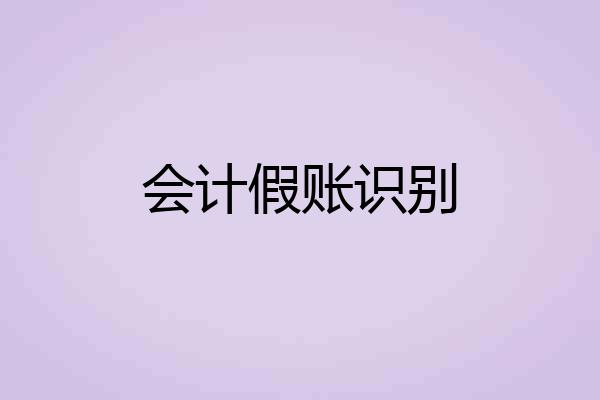 会计假账识别