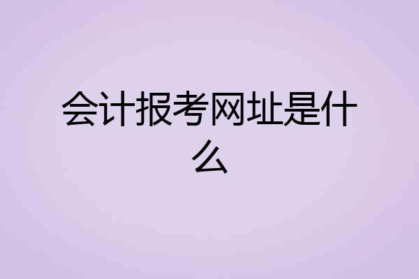 会计报考网址是什么
