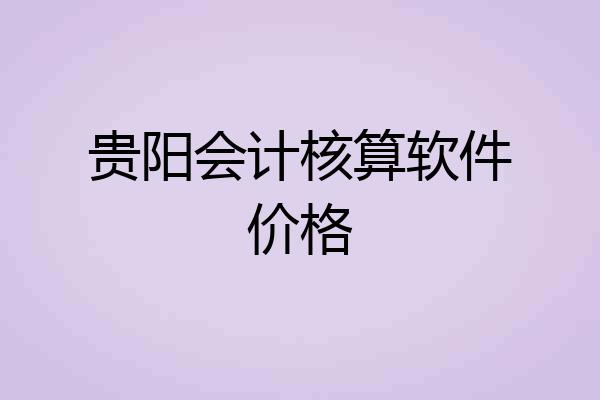 贵阳会计核算软件价格