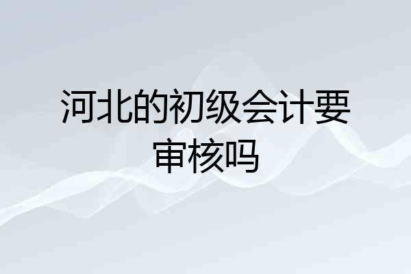 河北的初级会计要审核吗
