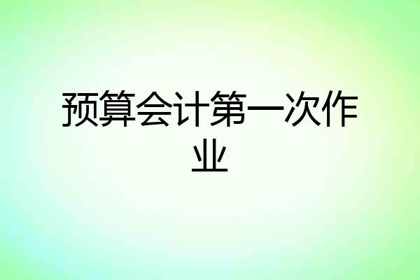 预算会计第一次作业