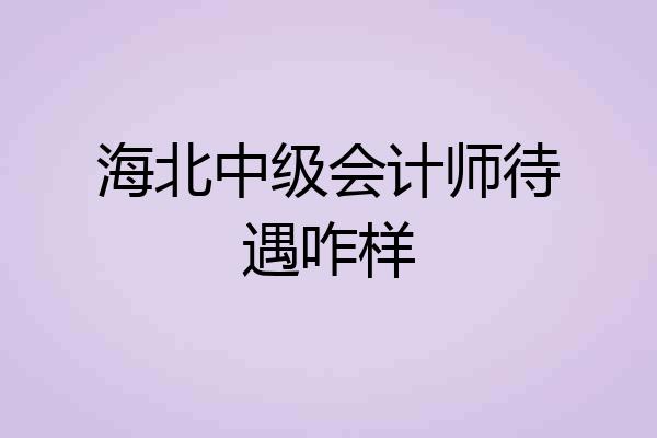 海北中级会计师待遇咋样