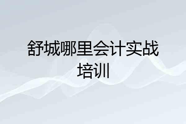 舒城哪里会计实战培训