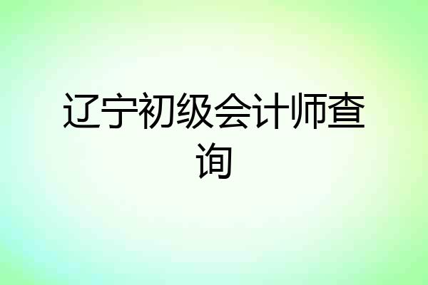 辽宁初级会计师查询