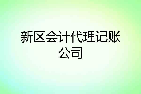 新区会计代理记账公司