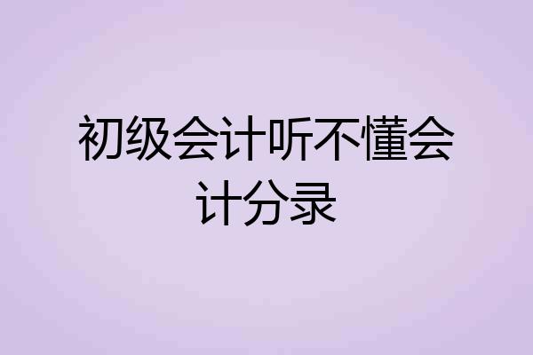 初级会计听不懂会计分录