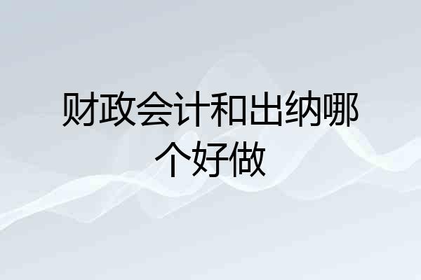财政会计和出纳哪个好做