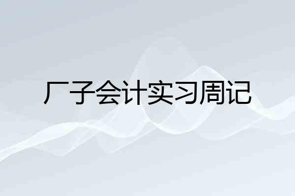 厂子会计实习周记
