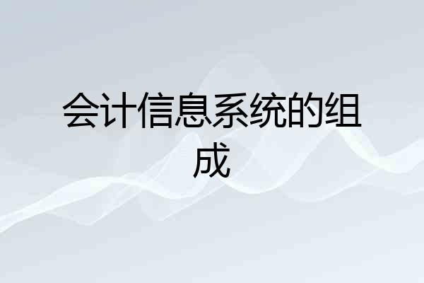 会计信息系统的组成