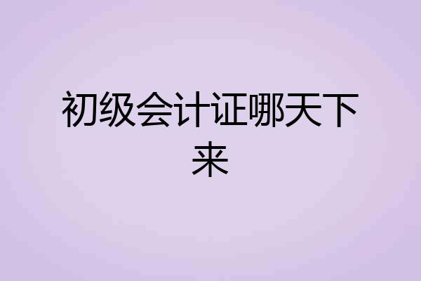 初级会计证哪天下来
