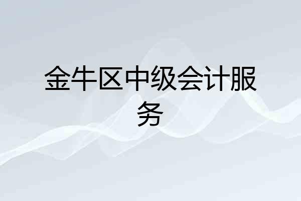 金牛区中级会计服务