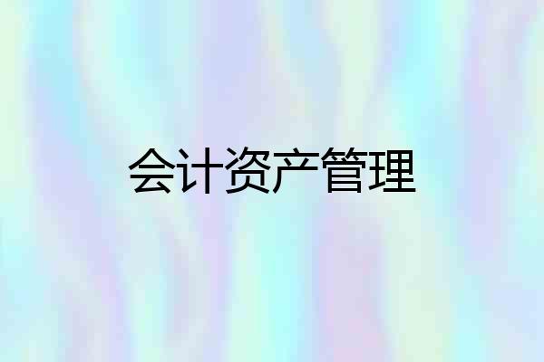 会计资产管理