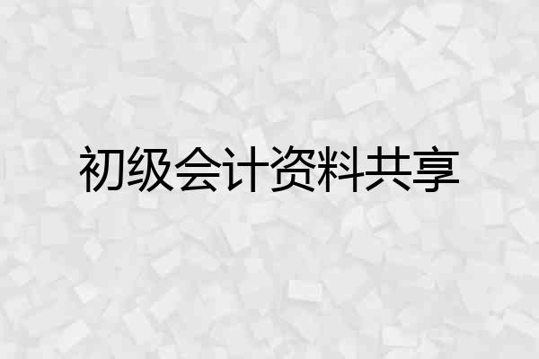 初级会计资料共享