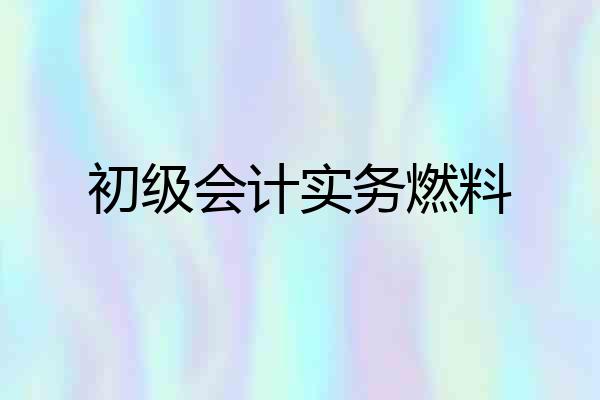 初级会计实务燃料