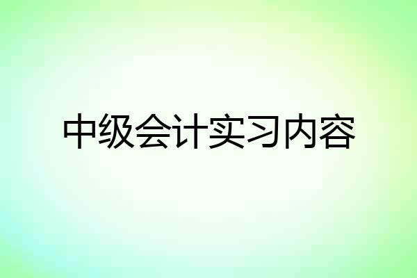 中级会计实习内容