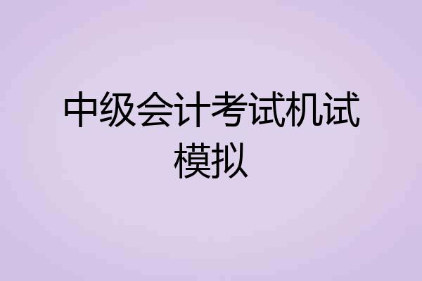 中级会计考试机试模拟