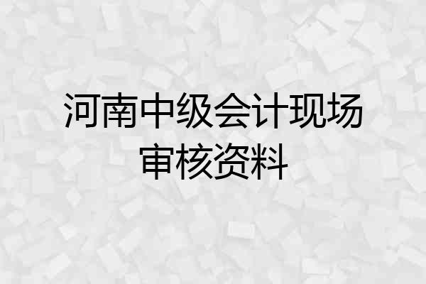 河南中级会计现场审核资料