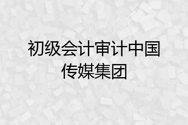 初级会计审计中国传媒集团